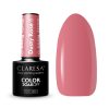 CLARESA - DUSTY ROSE 5ml n.06