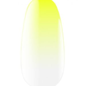 KODI - EXPRESS OMBRE SPRAY - 13