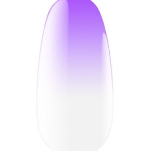 KODI - EXPRESS OMBRE SPRAY - 17