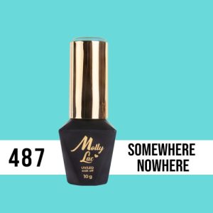 487 Somewhere Nowhere Limited Edition 10ml Molly Lac