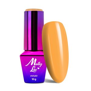 110 Holiday Dream 5ml Molly Lac