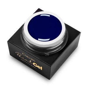 CLAVIER - PAINT GEL -  BLUE - 5gr