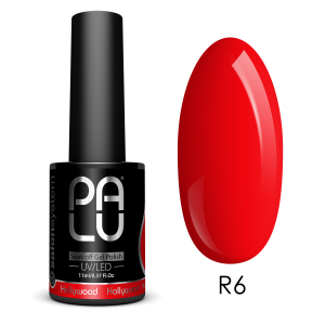PALU - HOLLYWOOD 11ml n.06
